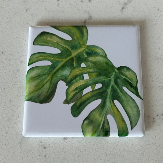 Plant 6