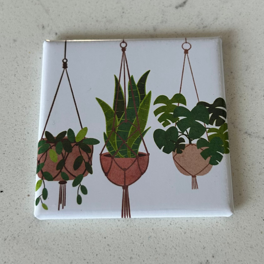 Plant 5