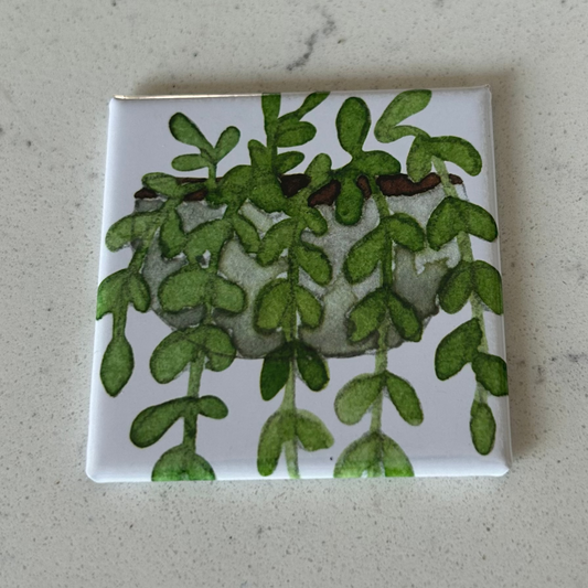Plant 3