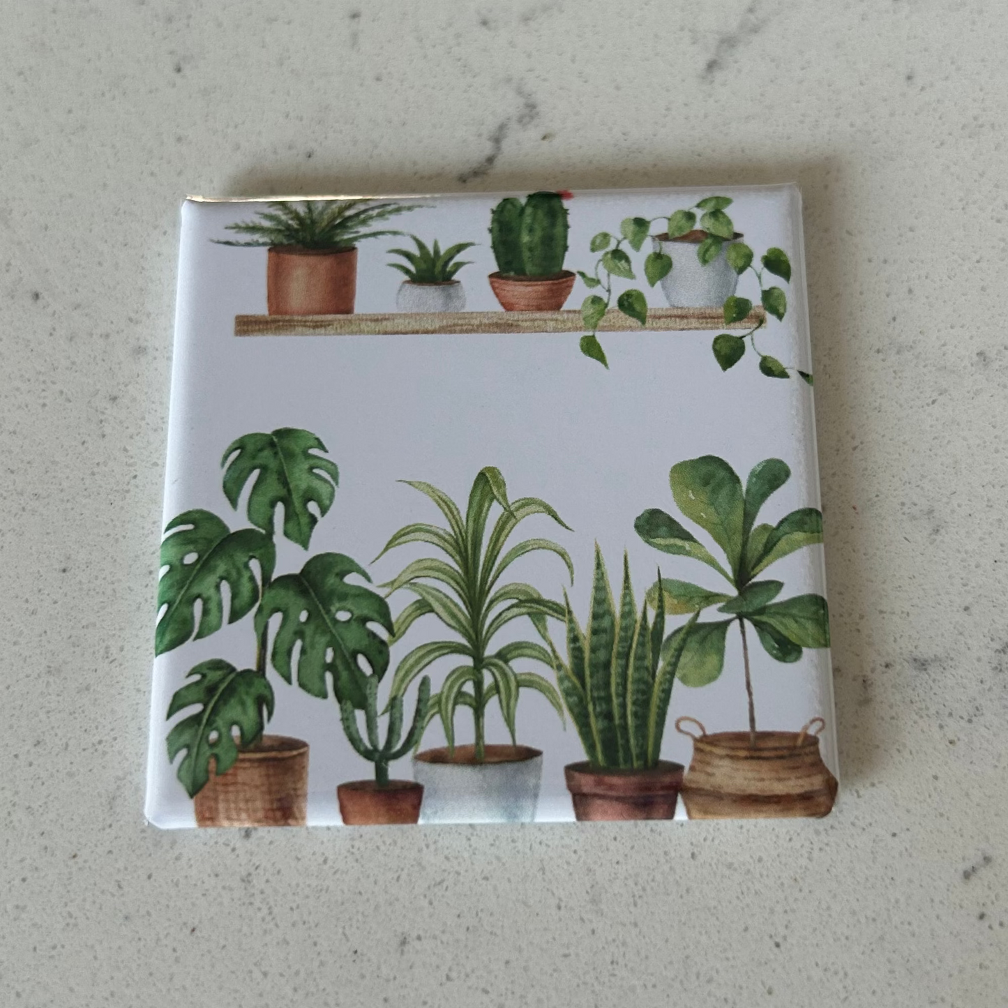 Plant 2