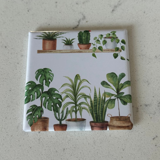 Plant 2