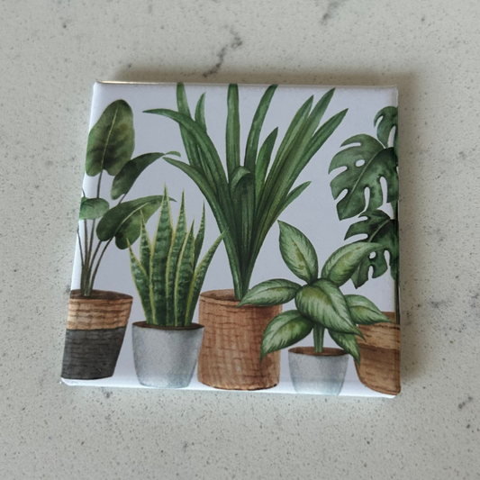 Plant 1